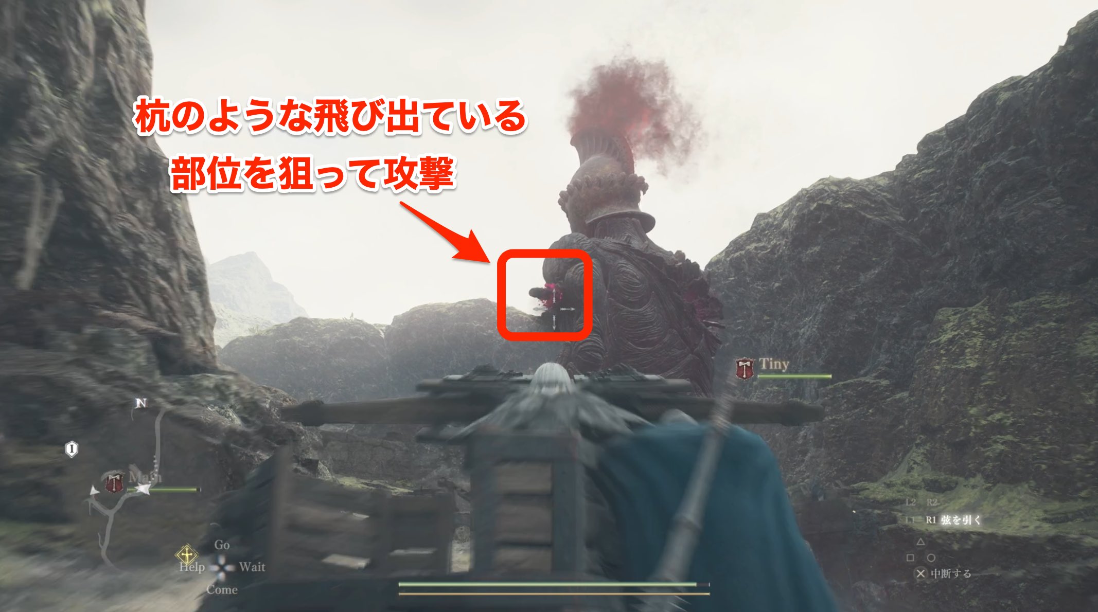 巨像の部位破壊