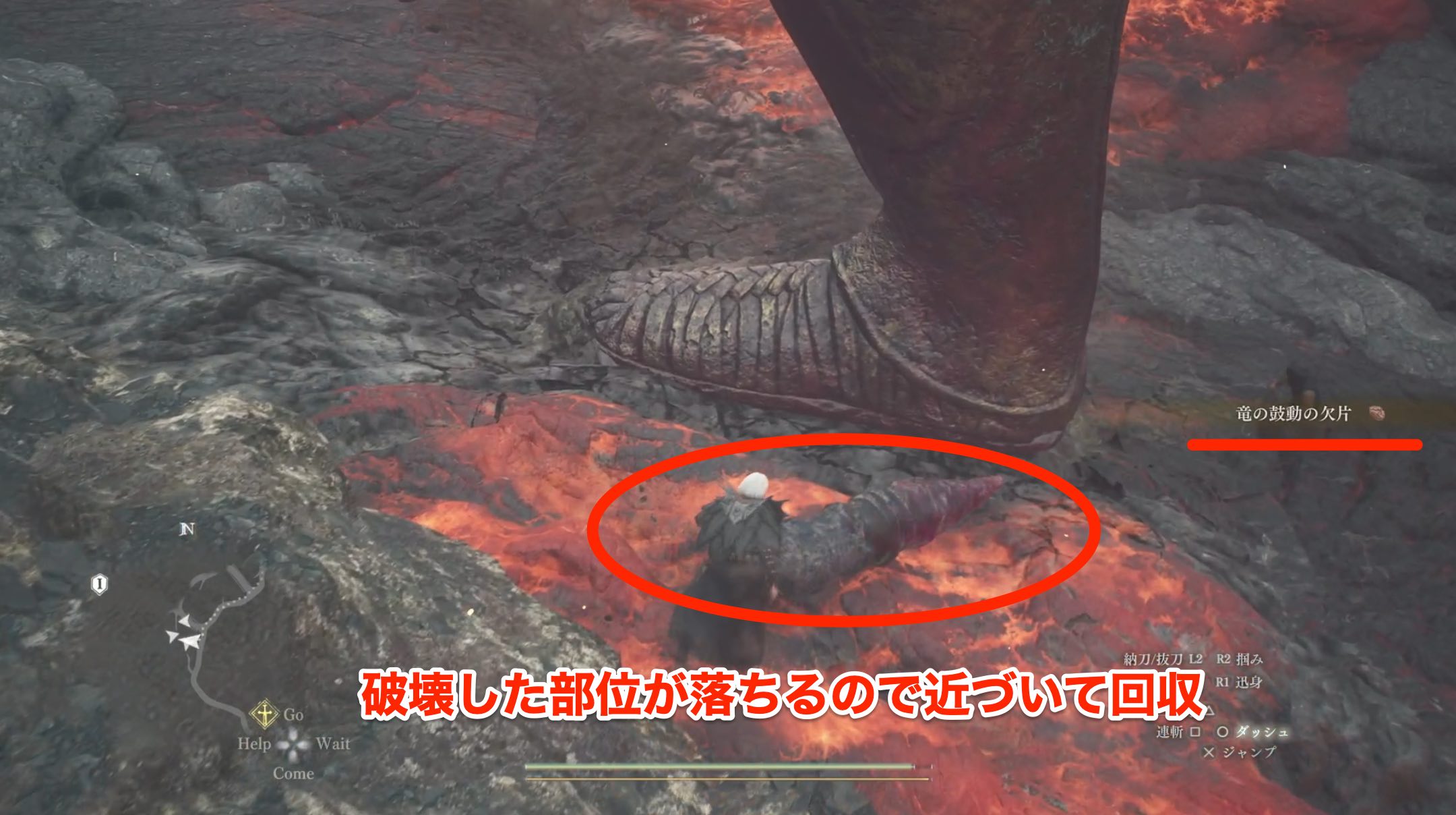 竜の鼓動の欠片を入手