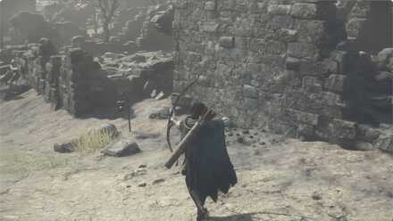 ウルリーケの見た目