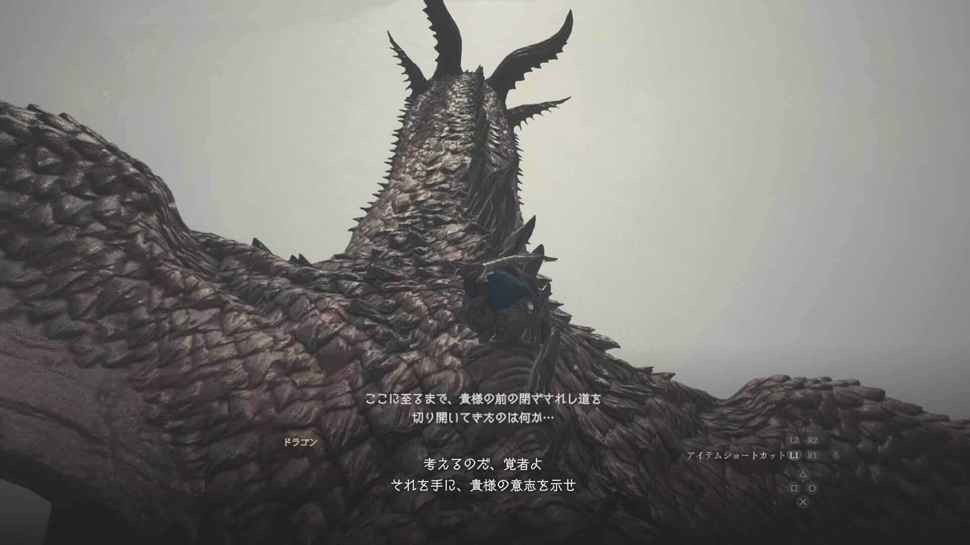 竜の背中に乗る