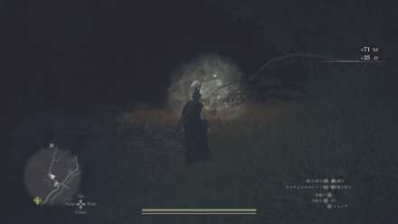 ファントムの見た目