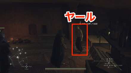 ヤールの見た目