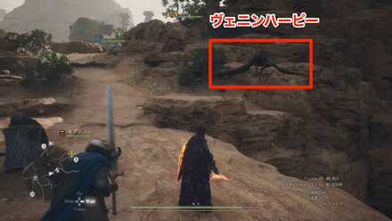 ヴェニンハーピーの見た目