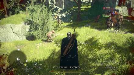 リポップしたフィールド