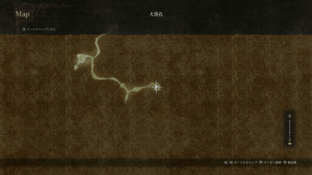 ミーテムサイカーシス