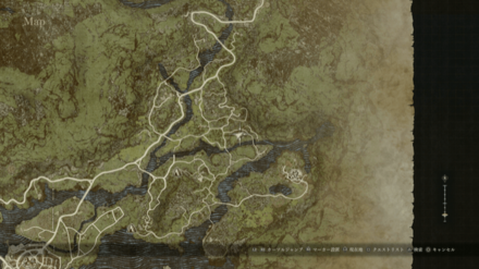 レンジャータイツ