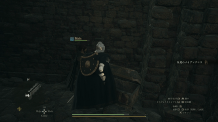 星見のメイデンクロス