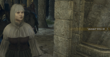 翻訳　習得の書