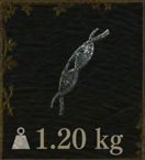 ミーテムサイカーシス画像