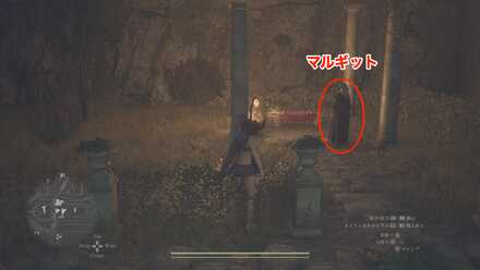 マルギットの見た目