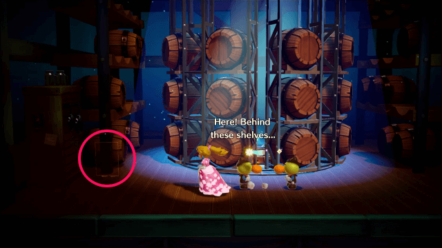 カウガール-1の弟子の場所一覧3