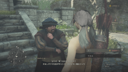 家を売ってくれるNPC