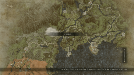 パームトゥリーズ