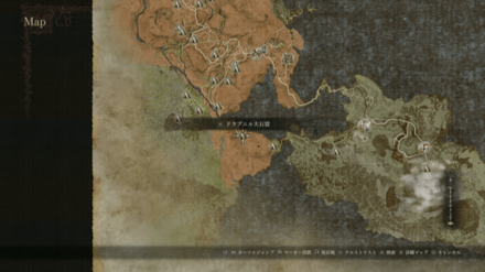 ノービスグロリアム