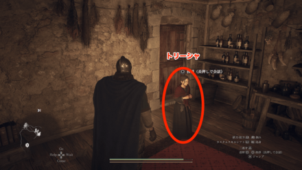 トリーシャの見た目