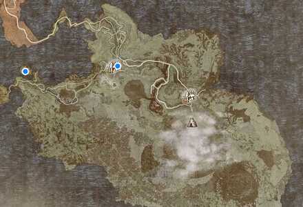 陽光の花の採集ポイント