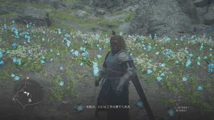 ブレンの見た目