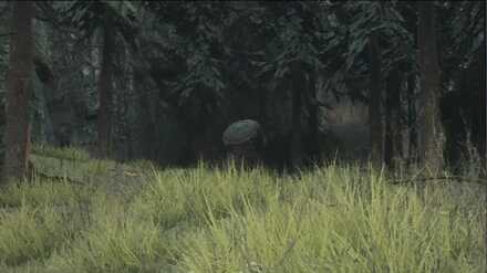 ラグナルを追う