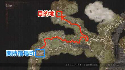 カシラのいる場所