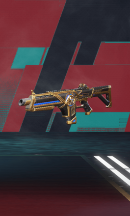 インシュアランス・ポリシーの画像