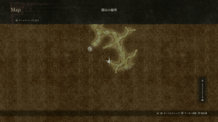 パームフラワー