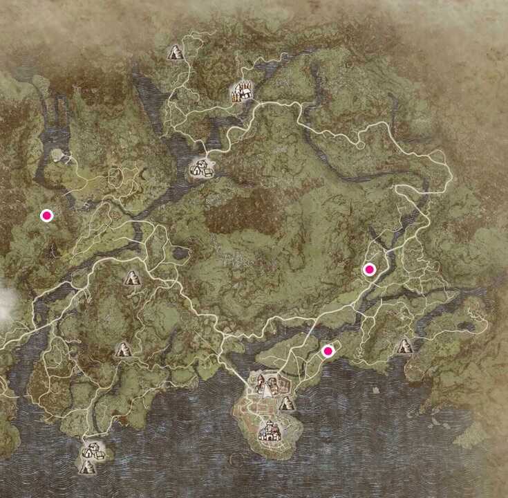 ウサギの出現場所