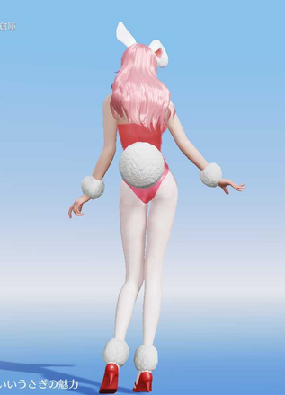 マシュマロバニー画像