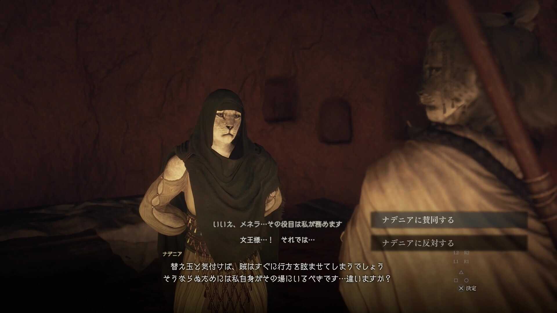 ナデニアの提案に賛同する画像