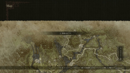 マイナーズタイトホーズ