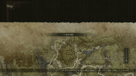 パームフラワー