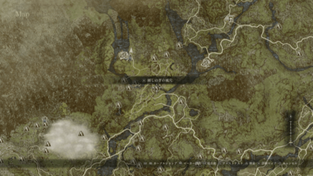 パームツリートップ