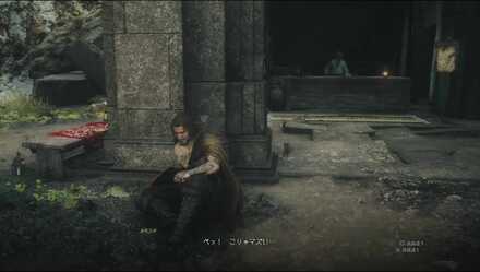 ルモンドの見た目