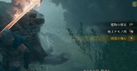 飛石のドロップ