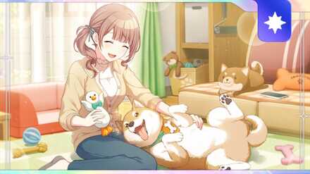 もふもふ休憩タイム