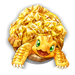 ゴッドタートルジュニアの画像
