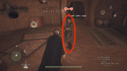 サーラの見た目