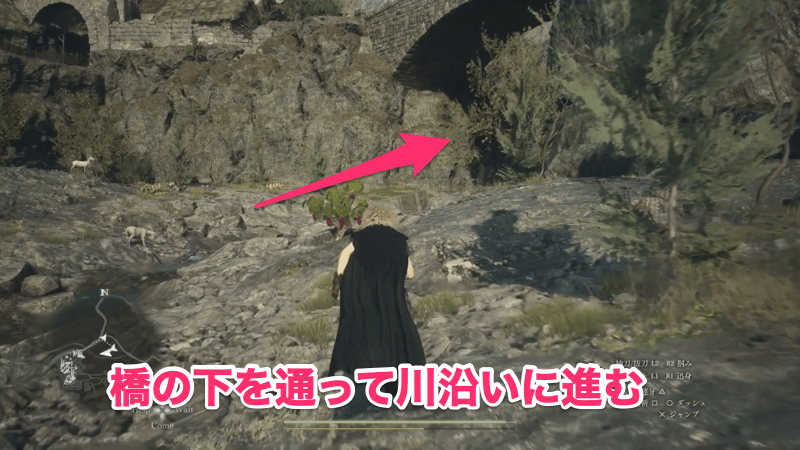 辺境の神殿の行き方