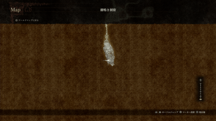 リザードクローク