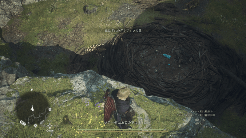 森はずれのグリフィンの巣