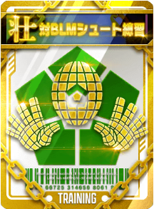 対BLMシュート練習