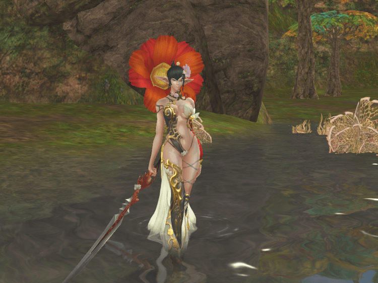 ニンフ コスモス