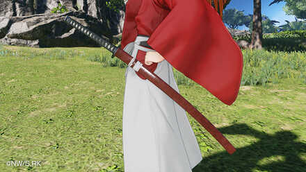 るるうに剣心スタイル11