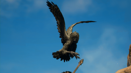 ゴアハーピー画像