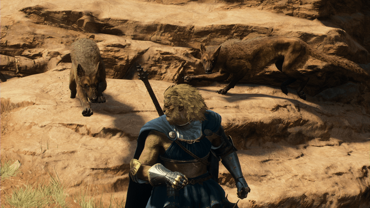 レッドウルフ画像