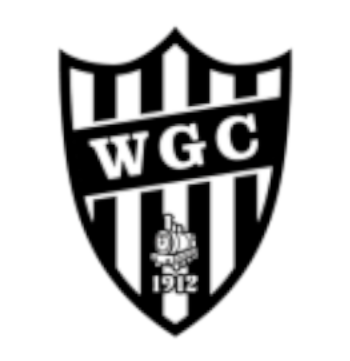 スウォンジーWの画像