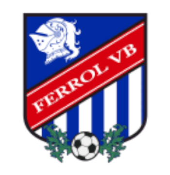 フェロルVBの画像