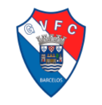 ジルヴィセンテFC画像