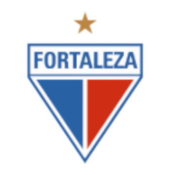 フォルタレーザEC画像