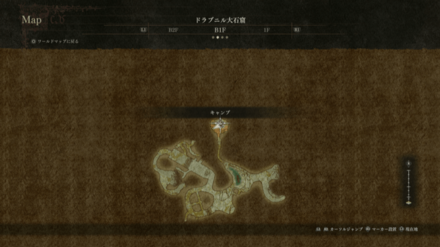 飛竜のクローク