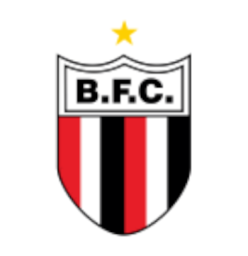 ボタフォゴSPの画像